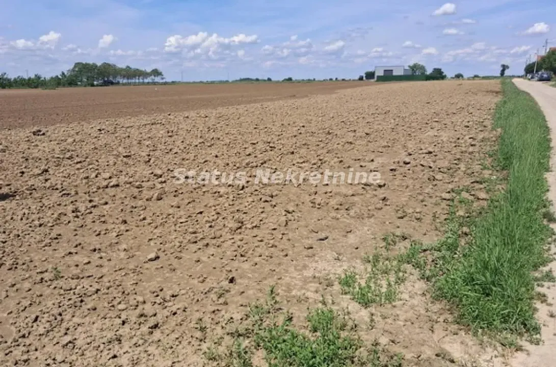Prodaja, plac, 738m², Futog, Novi Sad Sve Podlokacije