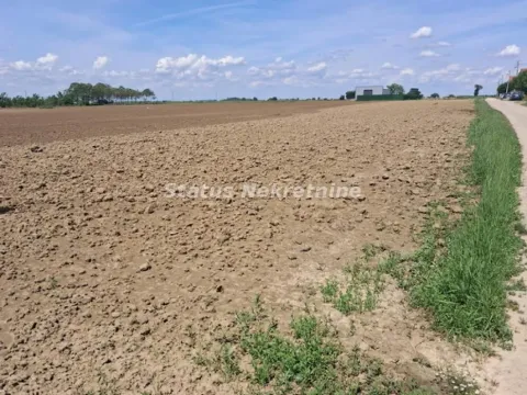 Zemljište in Futog