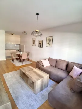 Rent, one bedroom apartment, 49m², Central Point, Podgorica - image 2