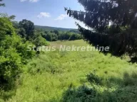 Prodaja, plac, 135m², Banja Vrdnik, Irig - image 14