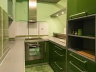 Izdavanje, dvosoban stan, 51m², Arena, Novi Beograd Sve Podlokacije - image 9