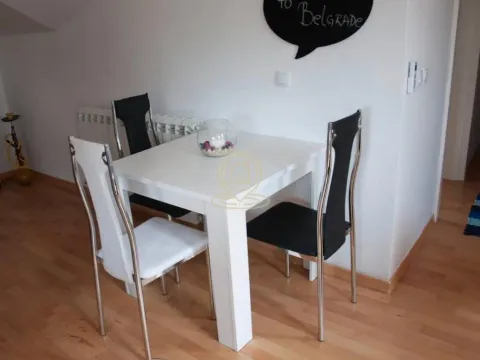Izdavanje, dvosoban stan, 51m², Stari Grad, Beograd - image 6