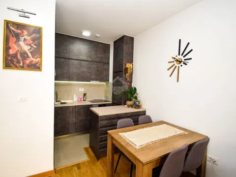 Izdavanje, jednosoban stan, 45m², City Kej, Podgorica - image 4