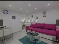 Izdavanje, stan, 30m², Centar Sve Podlokacije, Beograd - image 2