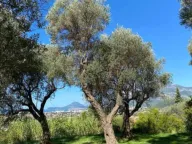 Prodaja, plac, 3770m², Zaljevo, Bar - image 2