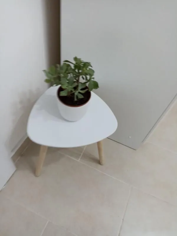Sale, studio apartment, 24m², Central Point, Podgorica