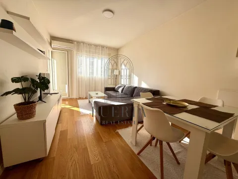 Izdavanje, jednosoban stan, 47m², Central Point, Podgorica - image 1