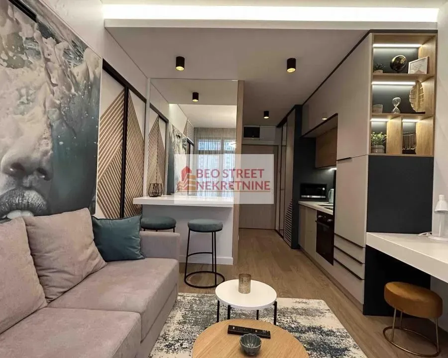 Izdavanje, jednosoban stan, 30m², Savski Venac, Beograd