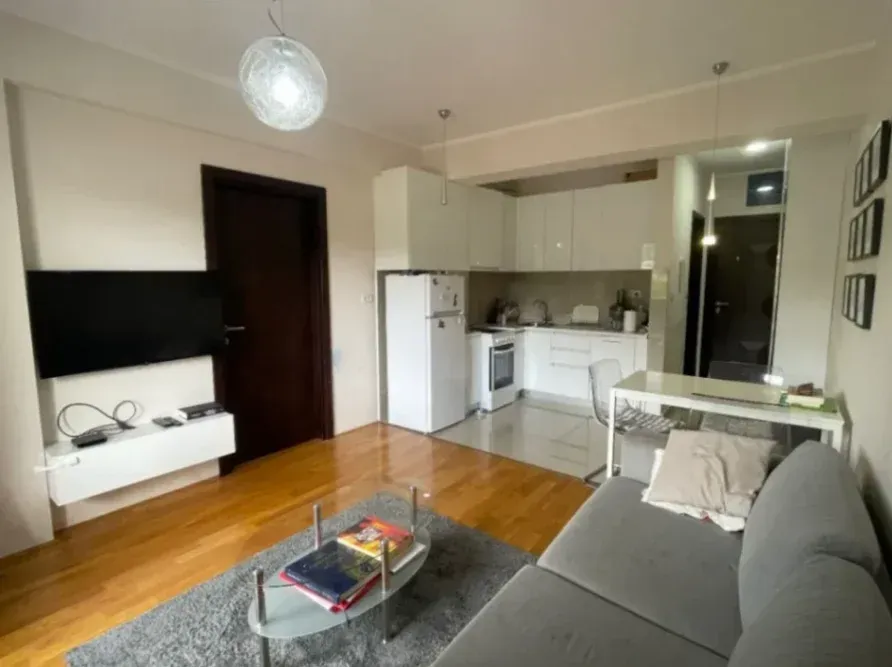 Rent, one bedroom apartment, 45m², Centar, Podgorica