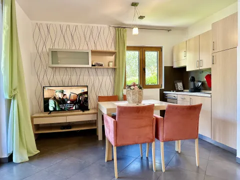 Rent, one bedroom apartment, 45m², Dobrota, Kotor - image 5