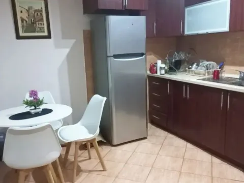 Izdavanje, jednosoban stan, 43m², Kod Big Fashion-a, Podgorica - image 4