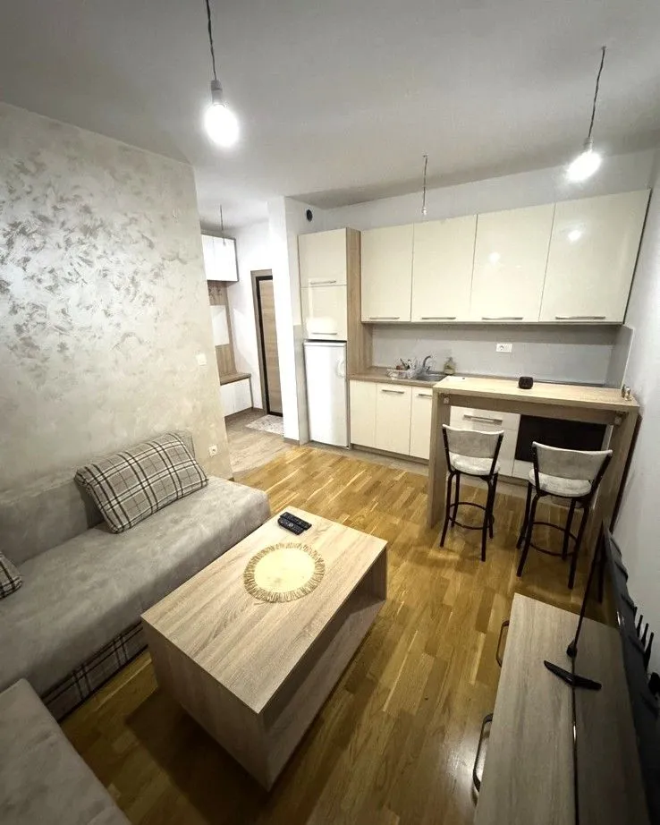 Rent, studio apartment, 22m², Zabjelo, Podgorica