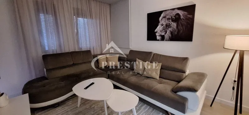 Rent, one bedroom apartment, 45m², Zabjelo, Podgorica