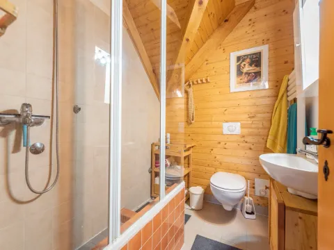 Prodaja, kuća, 550m², Podgorica, Crna Gora - image 23