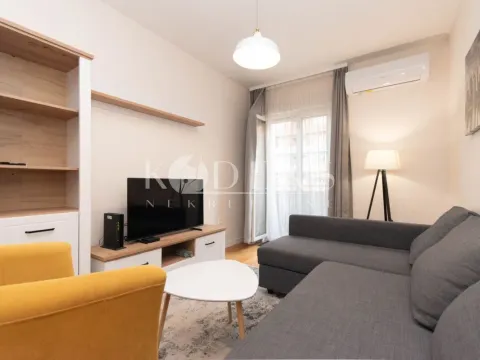 Izdavanje, jednosoban stan, 42m², Central Point, Podgorica - image 3