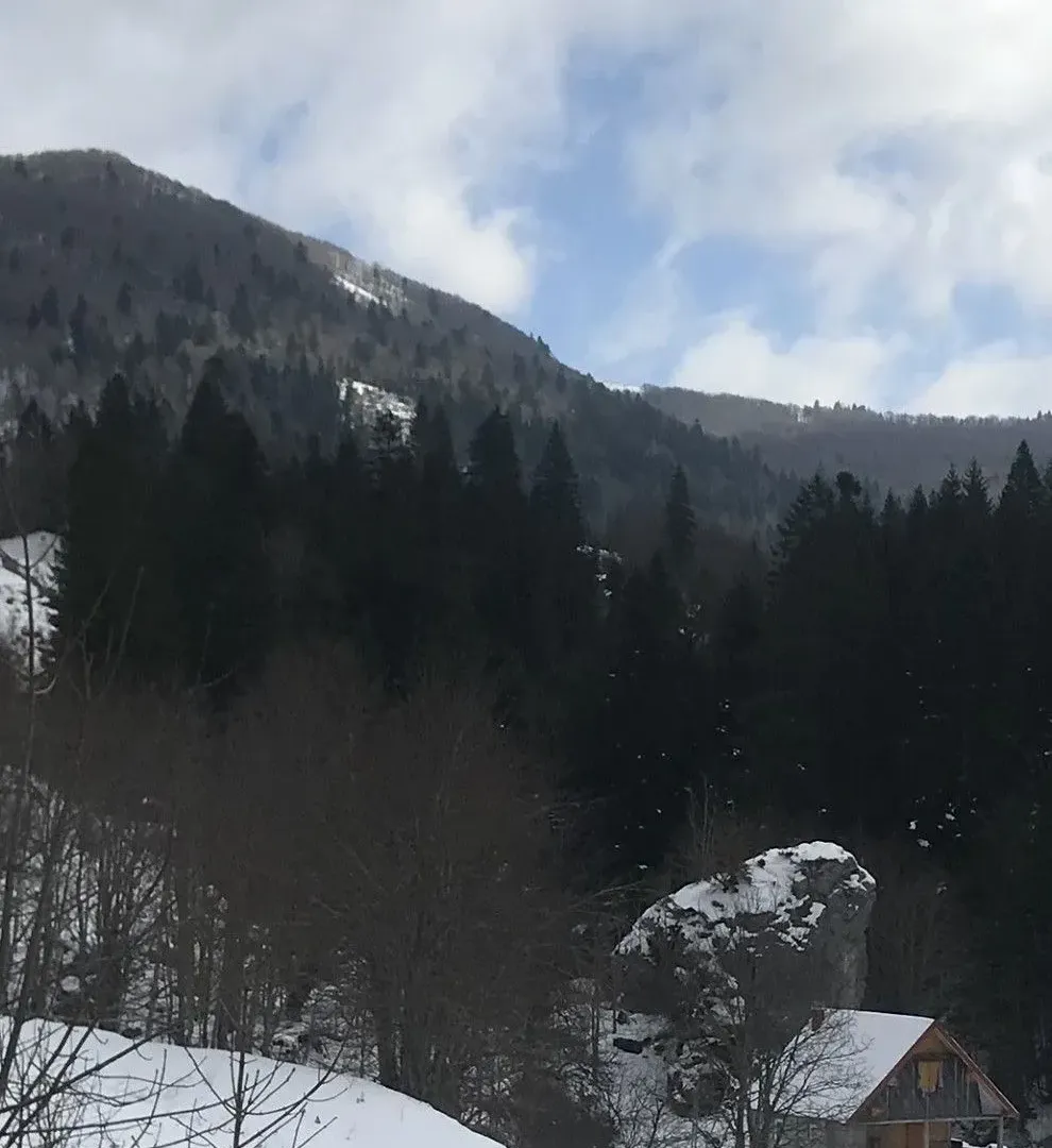 Prodaja, plac, 3476m², Kolašin, Crna Gora
