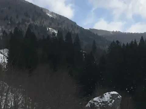 Prodaja, plac, 3476m², Kolašin, Crna Gora - image 2