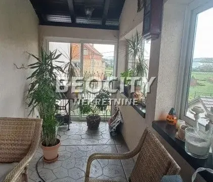 Sale, house, 370m², Adice, Novi Sad Sve Podlokacije - image 13