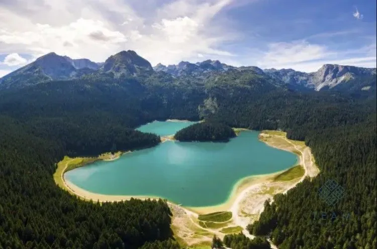 Prodaja, plac, 4000m², Motički gaj, Žabljak