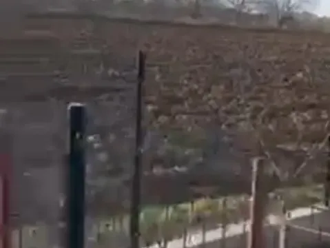 Prodaja, plac, 1600m², Petrovaradin, Novi Sad - image 5