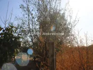 Prodaja, kuća, 97m², Irig, Srbija - image 4