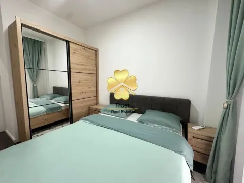 Izdavanje, jednosoban stan, 50m², Vezirov Most, Podgorica - image 4