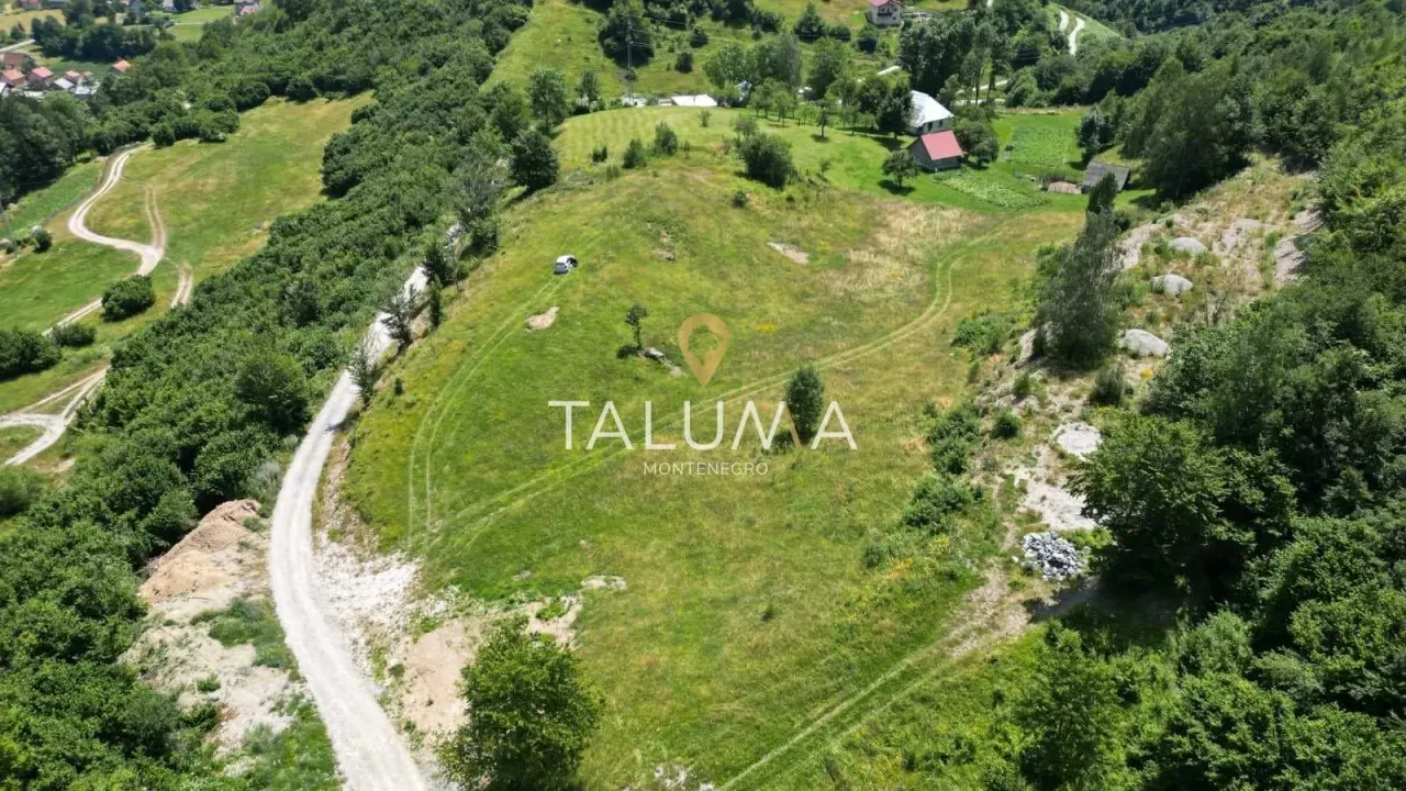 Sale, land lot, 11000m², Drijenak, Kolašin