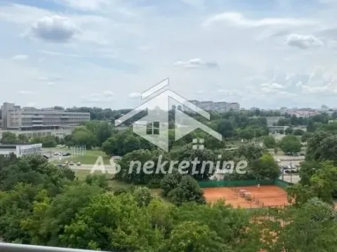 Izdavanje, dvosoban stan, 50m², Hala Pionir, Palilula Sve Podlokacije - image 12