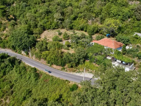 Prodaja, plac, 13320m², Kavač, Kotor - image 4