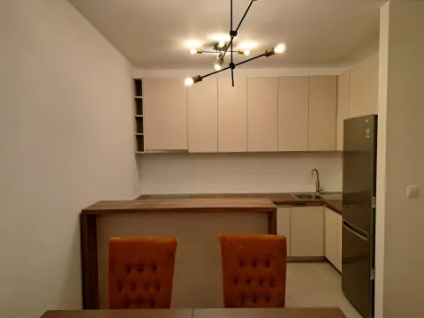 Izdavanje, jednosoban stan, 53m², Master Kvart, Podgorica - image 4