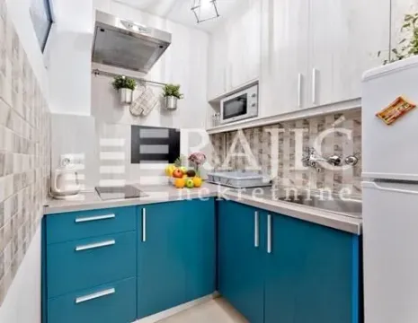 Mala, uredna kuhinja sa plavim elementima i svetlim drvenim ormarićima. - image 7