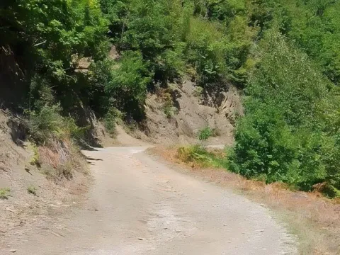 Sale, land lot, 24808m², Sela, Kolašin - image 5