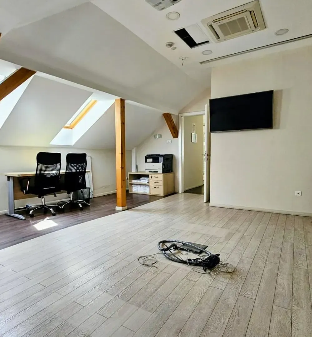 Rent, office space, 318m², Profesorska Kolonija, Palilula Sve Podlokacije