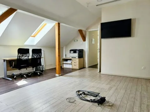 Rent, office space, 318m², Profesorska Kolonija, Palilula Sve Podlokacije - image 19