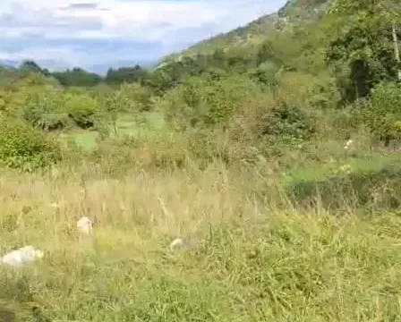 Prodaja, kuća, 45m², Nikšić, Crna Gora - image 5