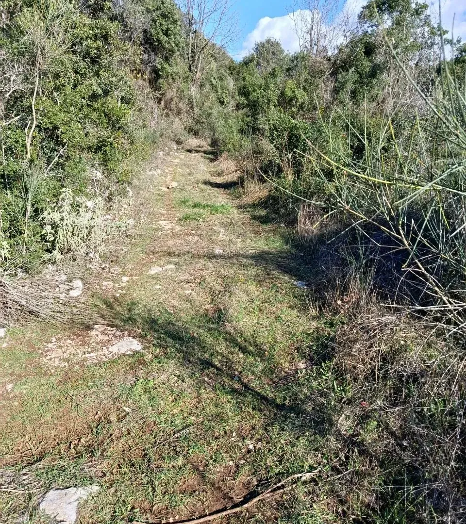 Prodaja, plac, 100076m², Kunje, Bar