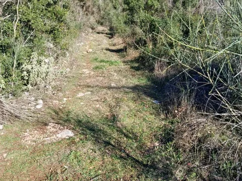 Sale, land lot, 100076m², Kunje, Bar - image 7