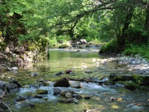 Sale, land lot, 89208m², Padež, Kolašin - image 2