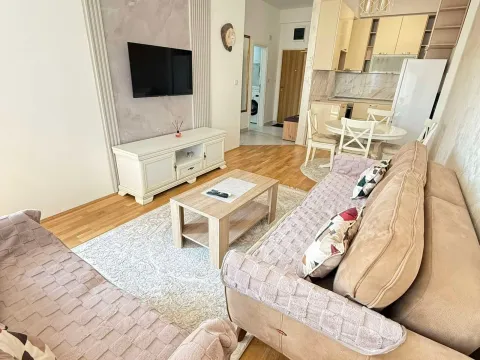 Izdavanje, jednosoban stan, 47m², Zagorič, Podgorica - image 1