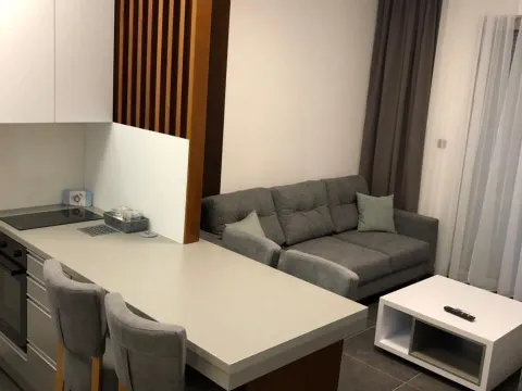 Izdavanje, jednosoban stan, 43m², Budva, Crna Gora - image 3