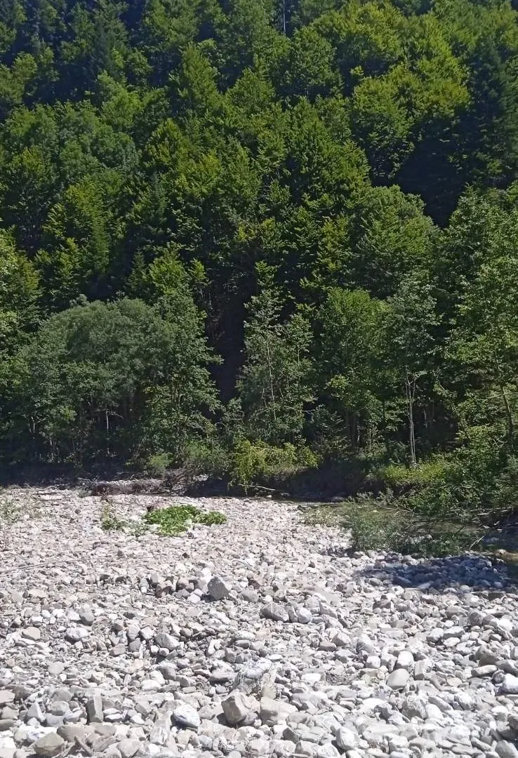 Prodaja, plac, 150000m², Podgorica, Crna Gora
