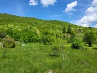 Sale, land lot, 160000m², Bršno, Nikšić - image 7