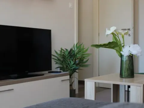 Izdavanje, jednosoban stan, 40m², Centar, Budva - image 4