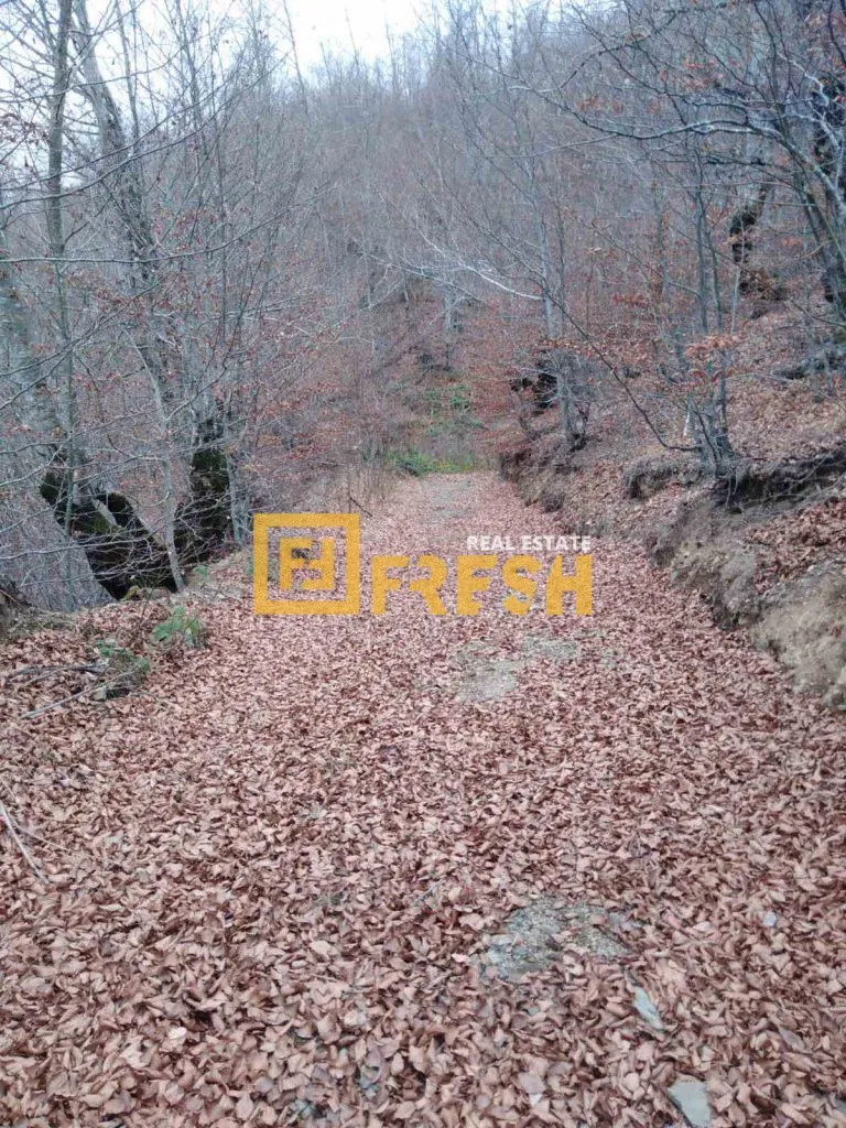 Prodaja, plac, 10000m², Ostalo, Podgorica