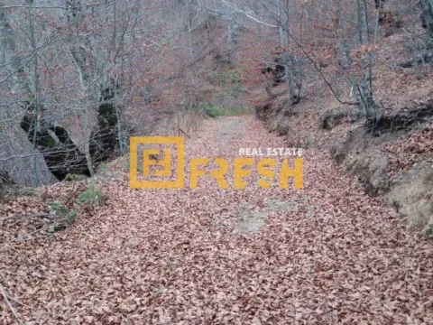 Prodaja, plac, 10000m², Ostalo, Podgorica - image 4