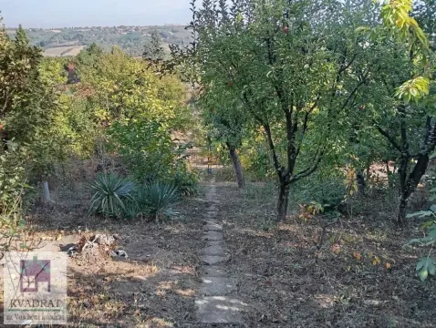 Zarasli voćnjak sa stazom i pogledom na okolni pejzaž. - image 13