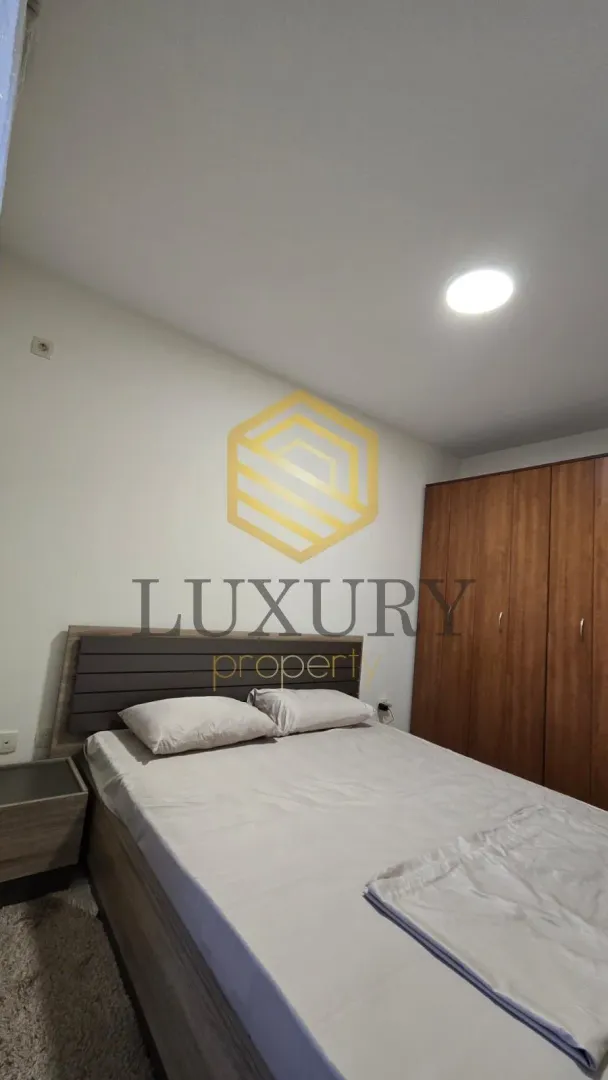 Rent, one bedroom apartment, 44m², Zagorič, Podgorica