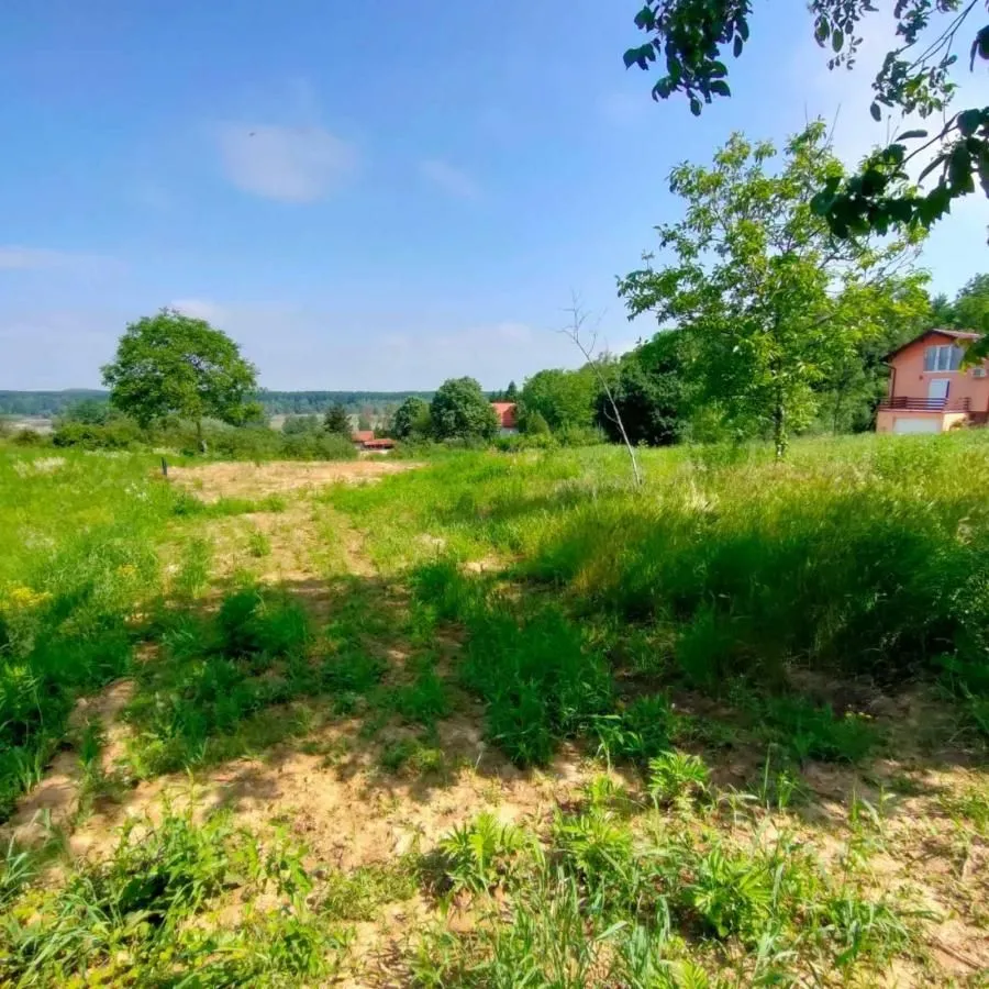 Sale, land lot, 2400m², Ledinci, Petrovaradin