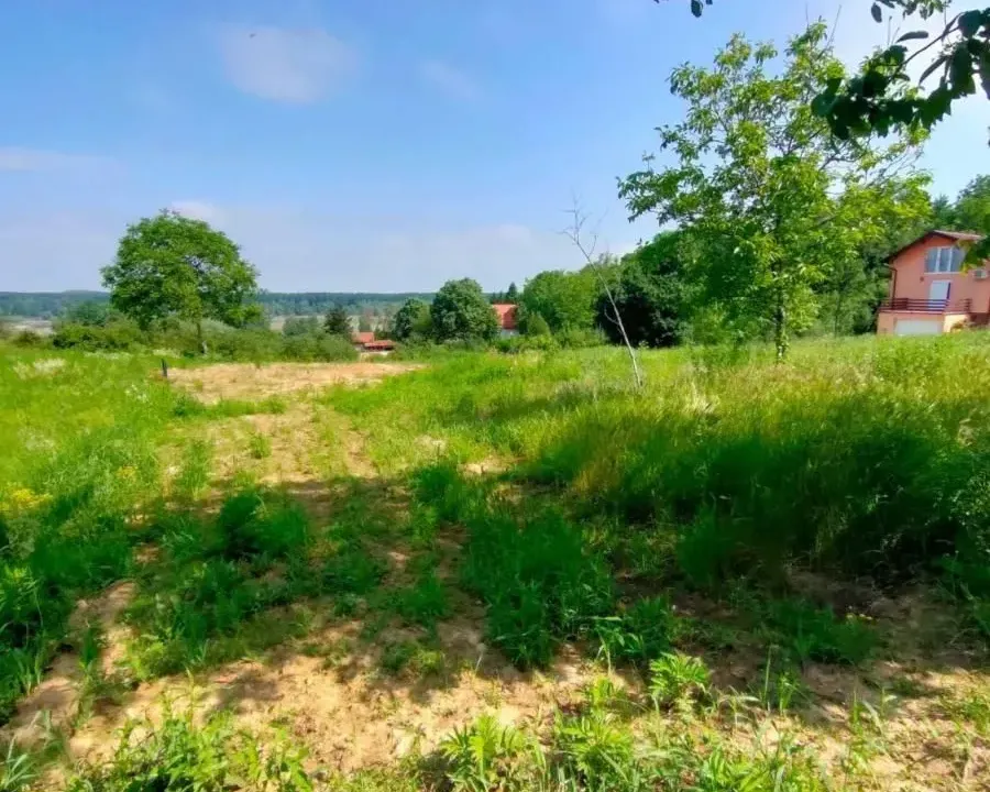 Prodaja, plac, 2400m², Ledinci, Petrovaradin