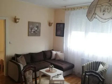 Izdavanje, jednosoban stan, 47m², Novi Beograd Blok 63, Novi Beograd Sve Podlokacije